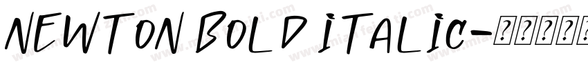 Newton Bold Italic字体转换